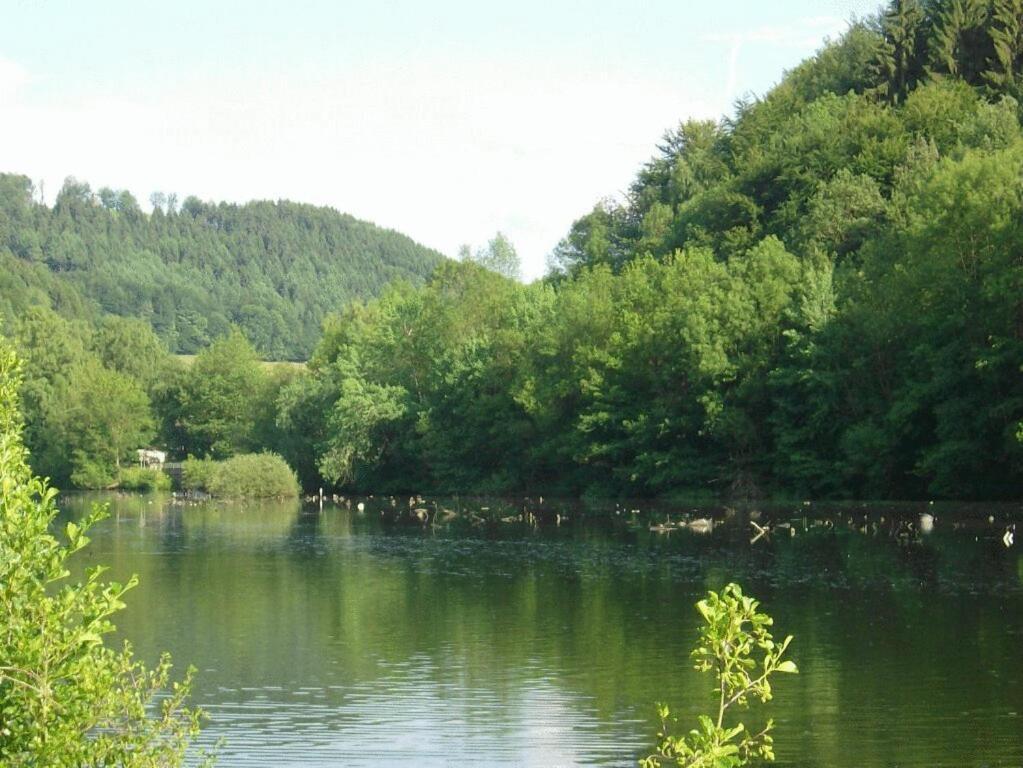 Zum Stausee Pensión 3*